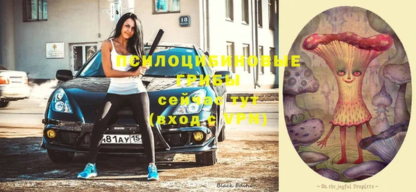бутират Новодвинск