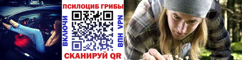 Псилоцибиновые грибы Cubensis  Сухиничи 